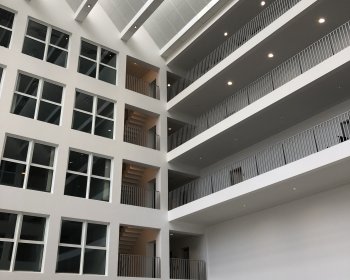 IMG_8463
