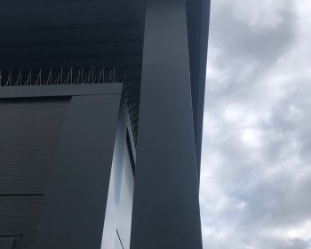 IMG_0009